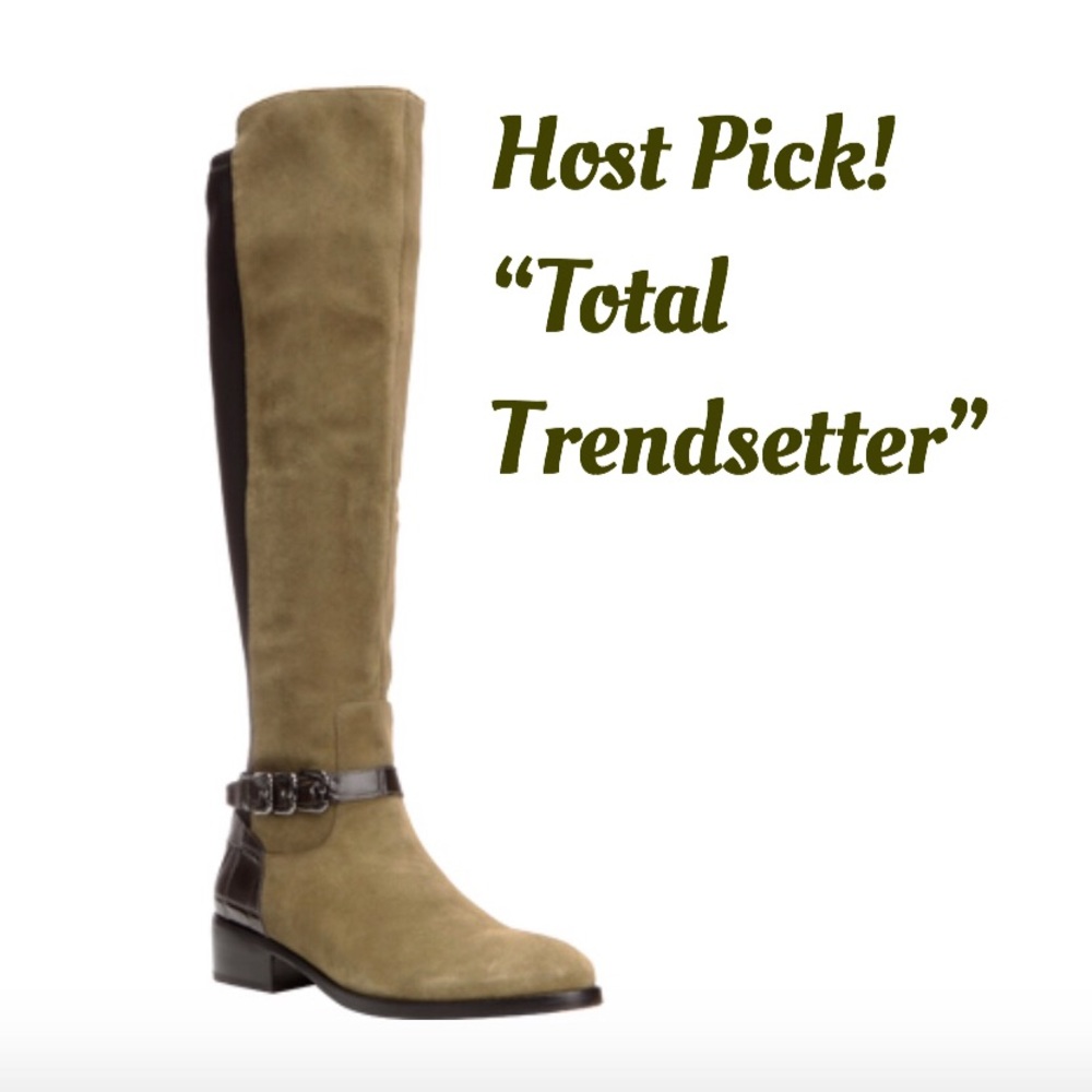 ‼️HP‼️‼️ Donald J Pliner Nellie suede boot sz 6